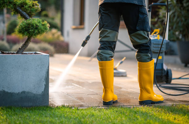 Best Roof Pressure Washing  in Holiday Island, AR